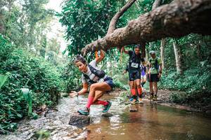 BIB: 
                            <button type="button" onclick="openModal(25368681)" class="btn btn-primary btn-sm float-right btn-popup" data-toggle="modal" data-target=".modal-high-quality">
                        <i class="fas fa-shopping-cart"></i> Add to Cart
                    </button>
                                            <button type="button" onclick="isThisMe(25368681, true)" class="btn btn-success btn-sm float-right btn-popup btn-isme hidden" data-toggle="tooltip" data-placement="bottom" title="นี่คือรูปของคุณใช่ไหม คลิกที่นี่เพื่อเอาเข้าอัลบั้ม">
                        <i class="fas fa-plus"></i> Add to album
                    </button>
                    <button type="button" onclick="isThisMe(25368681, false)" class="btn btn-warning btn-sm float-right btn-popup btn-isnotme hidden">
                        <i class="fas fa-ban"></i> Remove from album
                    </button>